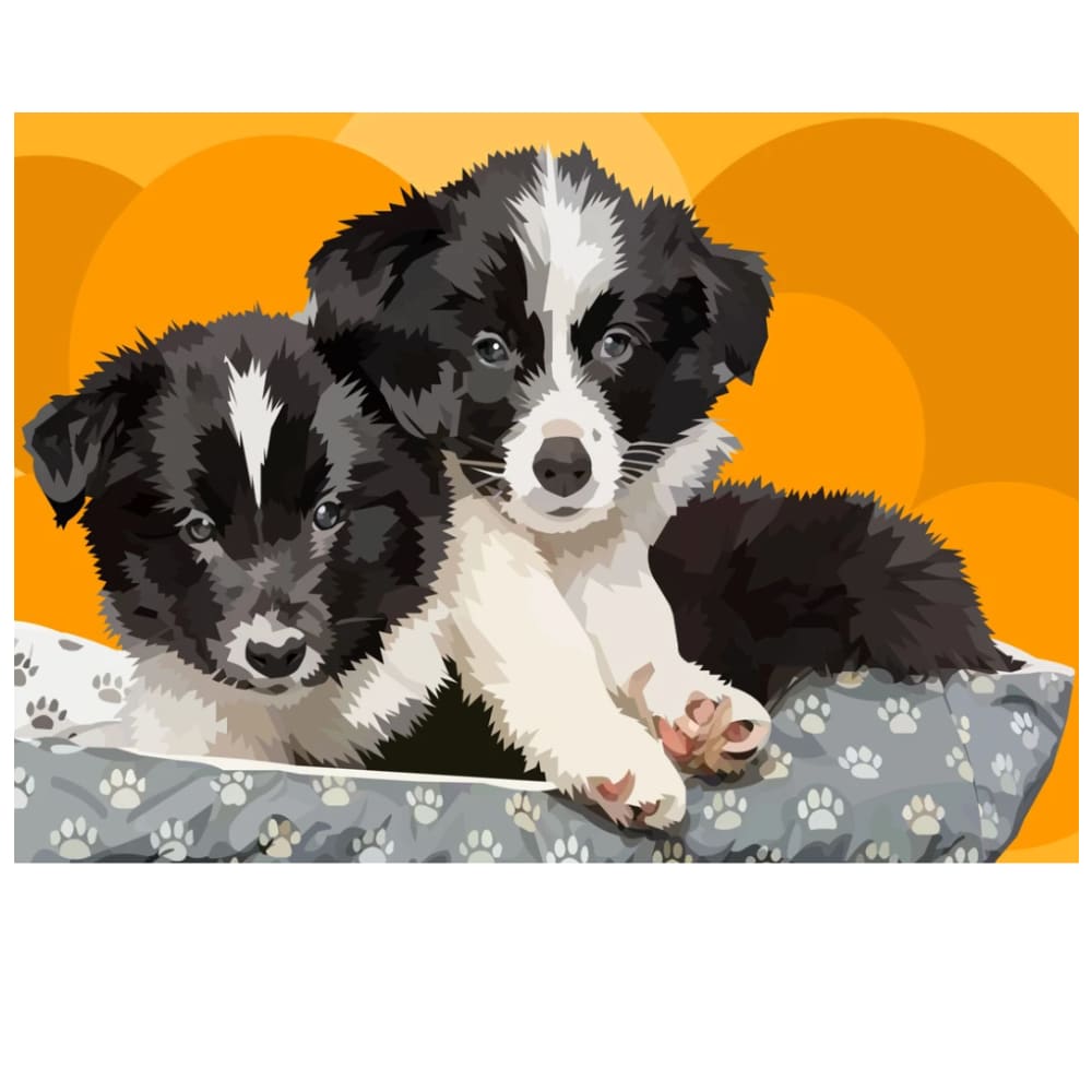 Bordercollies | Exclusieve Diamond Painting