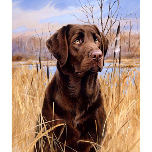 Bruine Labrador | Diamond Painting