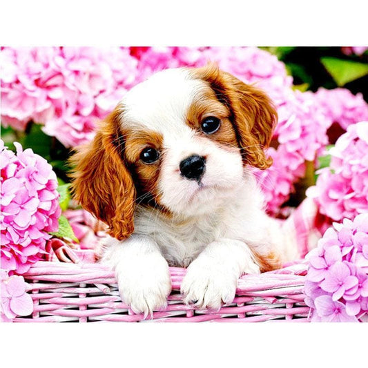 Cavalier King Charles | Diamond Painting
