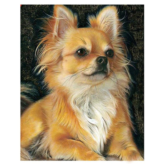 Chihuahua | Diamond Painting