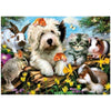 Dieren Familie | Diamond Painting