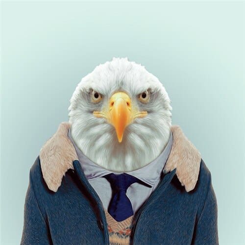 Dieren Gezichten | 20 Soorten | Diamond Painting