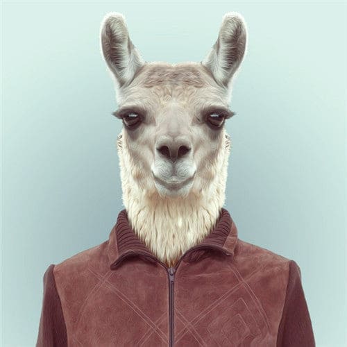 Dieren Gezichten | 20 Soorten | Diamond Painting