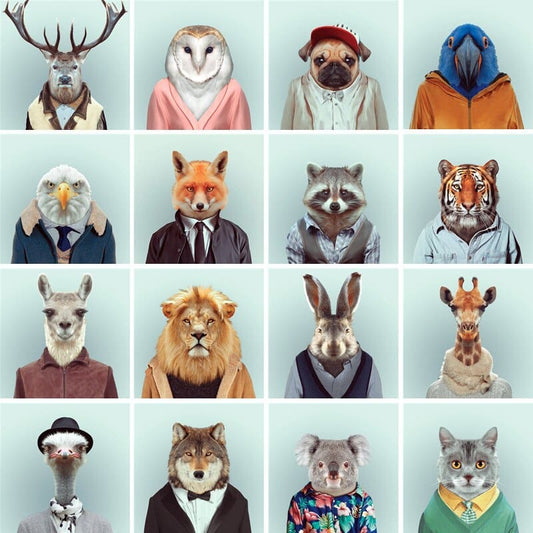 Dieren Gezichten | 20 Soorten - Overige Dieren