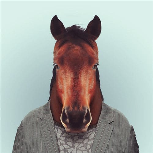 Dieren Gezichten | 20 Soorten | Diamond Painting