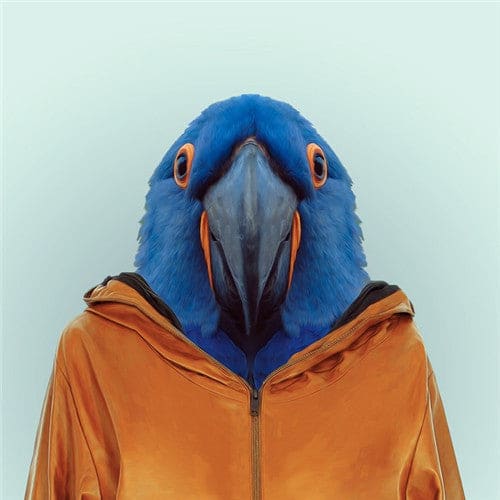 Dieren Gezichten | 20 Soorten | Diamond Painting