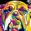 DIY diamant schilderij - Bulldog kleuren PIX-326 - Diamond 