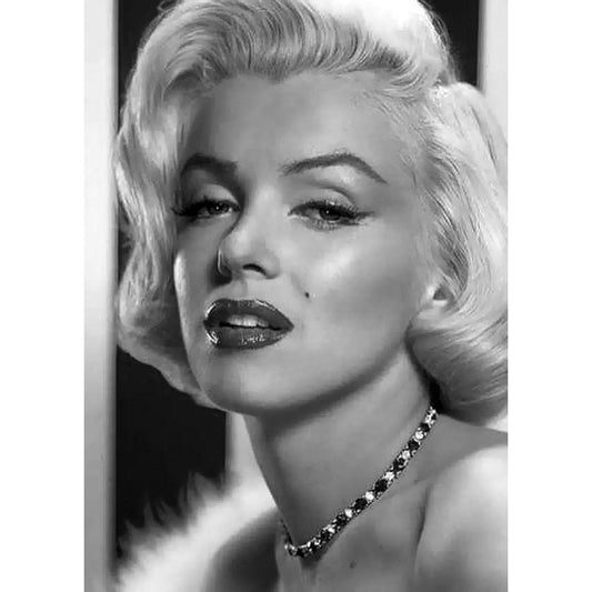 DIY diamant schilderij - Celebrity PIX-1708 - Diamond 