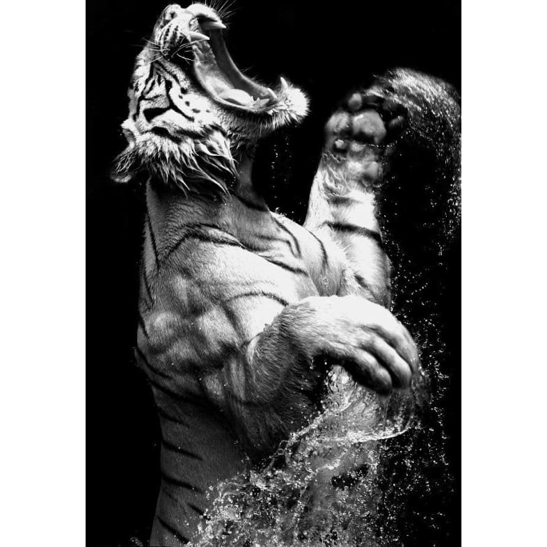 DIY diamant schilderij - Dieren PIX-2324 - Diamond Painting