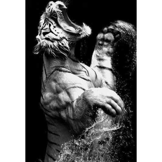 DIY diamant schilderij - Dieren PIX-2324 - Diamond Painting