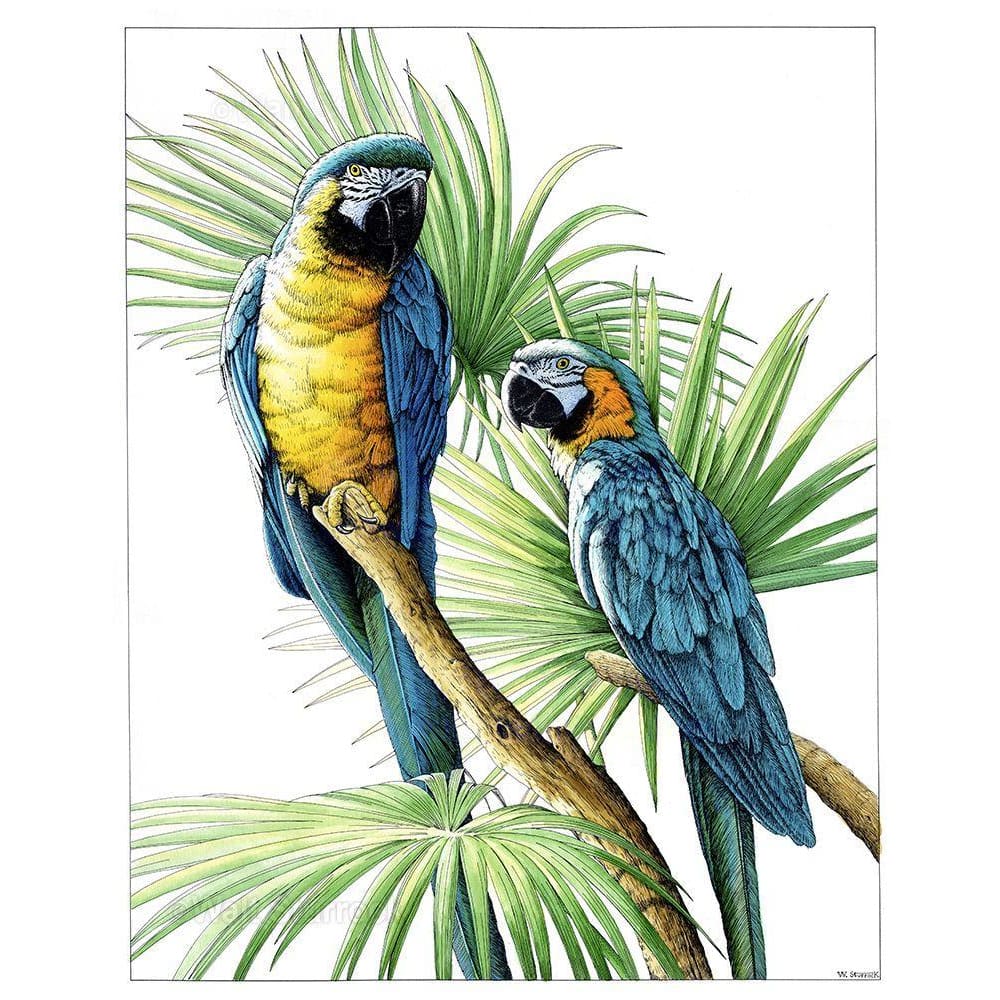 DIY diamant schilderij - Dieren PIX-2476 - Diamond Painting