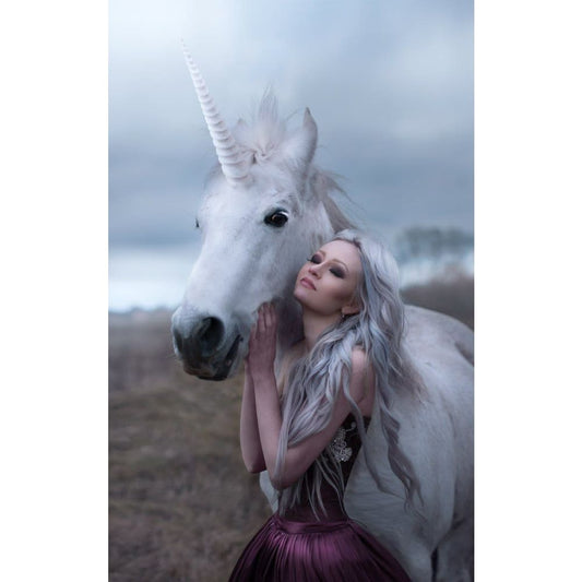 DIY Diamant Schilderij - Fantasie PIX-1864 - Diamond