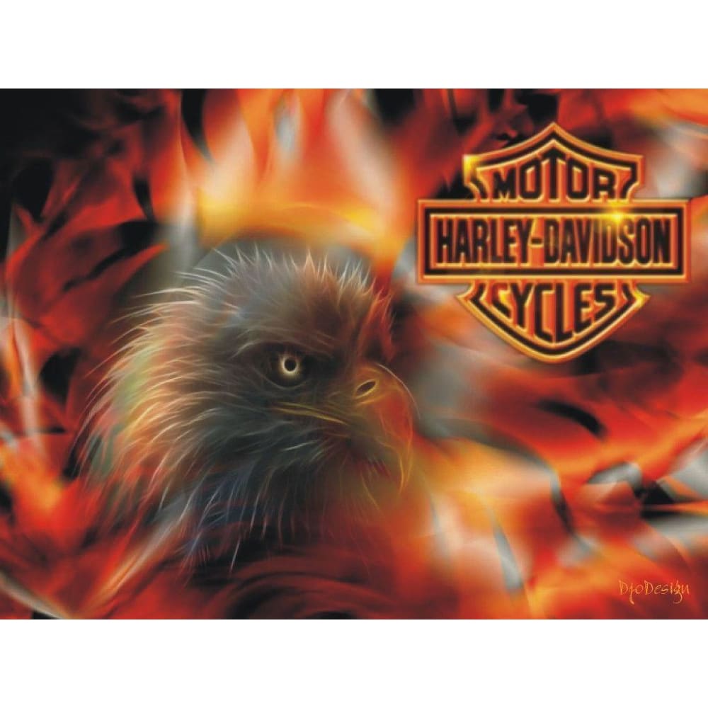 DIY diamant schilderij - Harley Eagle PIX-557 - Diamond 
