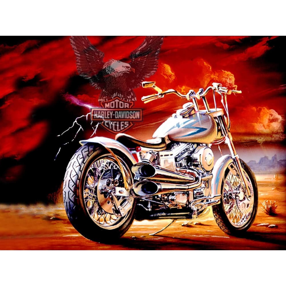 DIY diamant schilderij - Harley Eagle vlucht PIX-558 - 