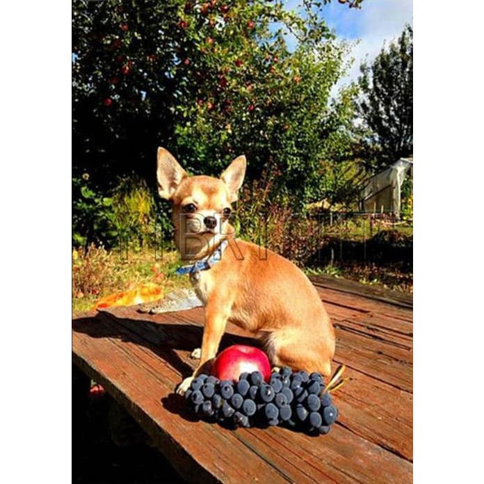 DIY diamant schilderij - hond appel en druif PIX-404 - 