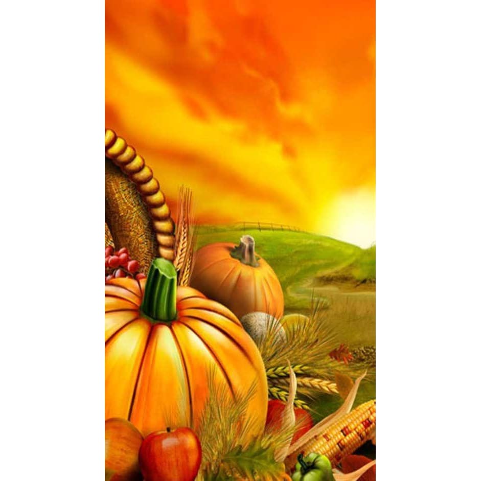 DIY diamant schilderij - Thanksgiving Day & Halloween 