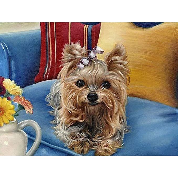 DIY diamant schilderij - Yorkie Art PIX-1195 - Diamond 