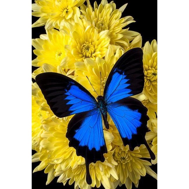 DIY Diamond Painting - Dieren PIX-2283 - Diamond Painting