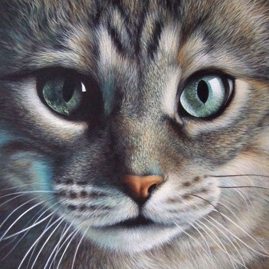 DIY Diamond Painting - Dieren PIX-2290 - Diamond Painting