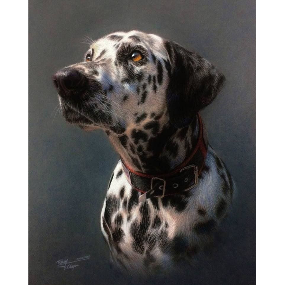 DIY Diamond Painting - Dieren PIX-2310 - Diamond Painting