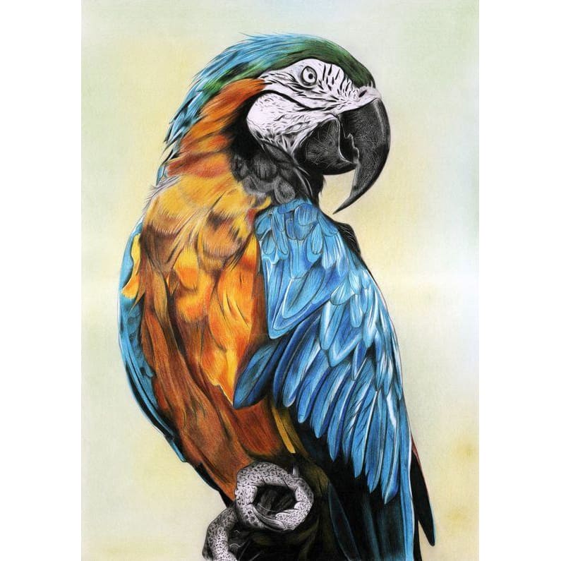 DIY Diamond Painting - Dieren PIX-2314 - Diamond Painting