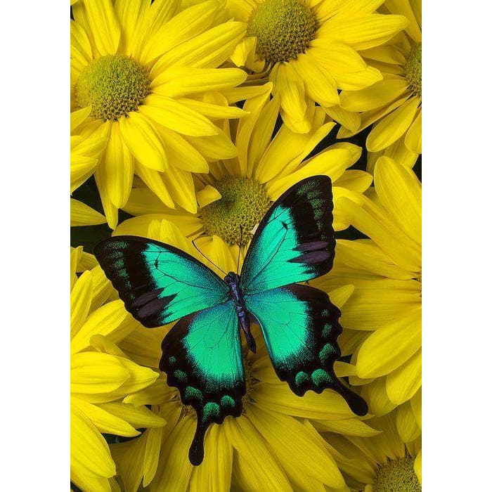 DIY Diamond Painting - Dieren PIX-2319 - Diamond Painting