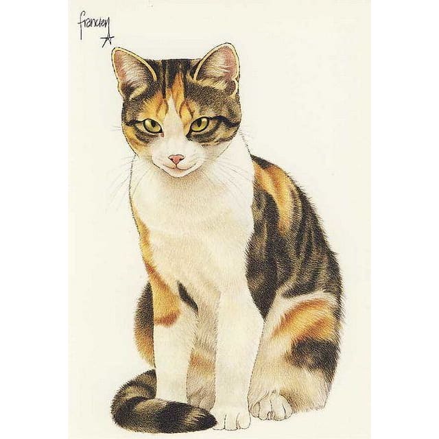 DIY Diamond Painting - Dieren PIX-2399 - Diamond Painting