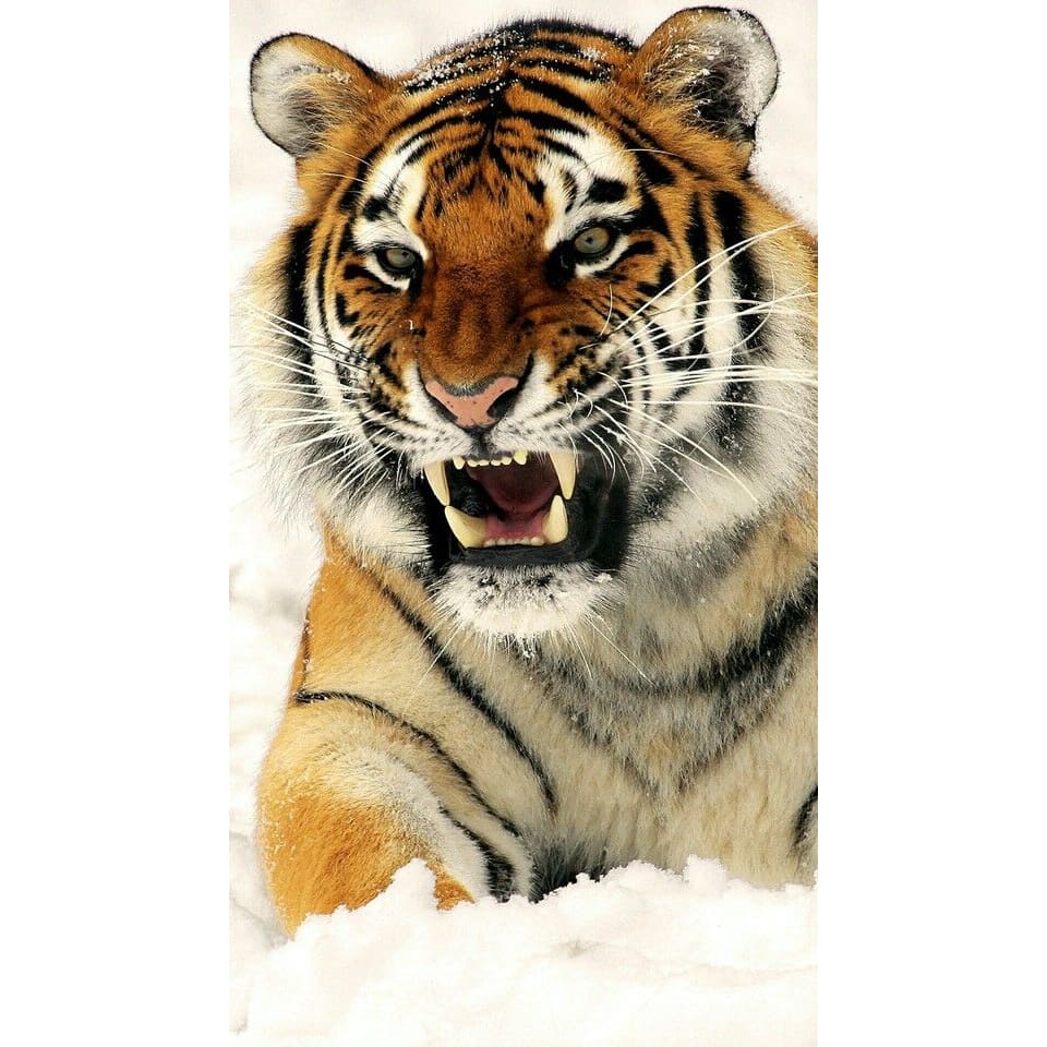 DIY Diamond Painting - Dieren PIX-2450 - Diamond Painting