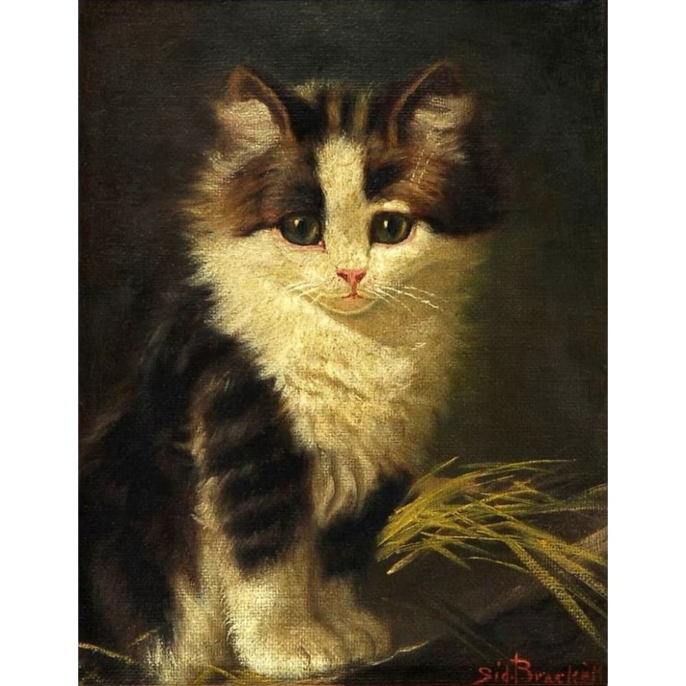 DIY Diamond Painting - Dieren PIX-2454 - Diamond Painting
