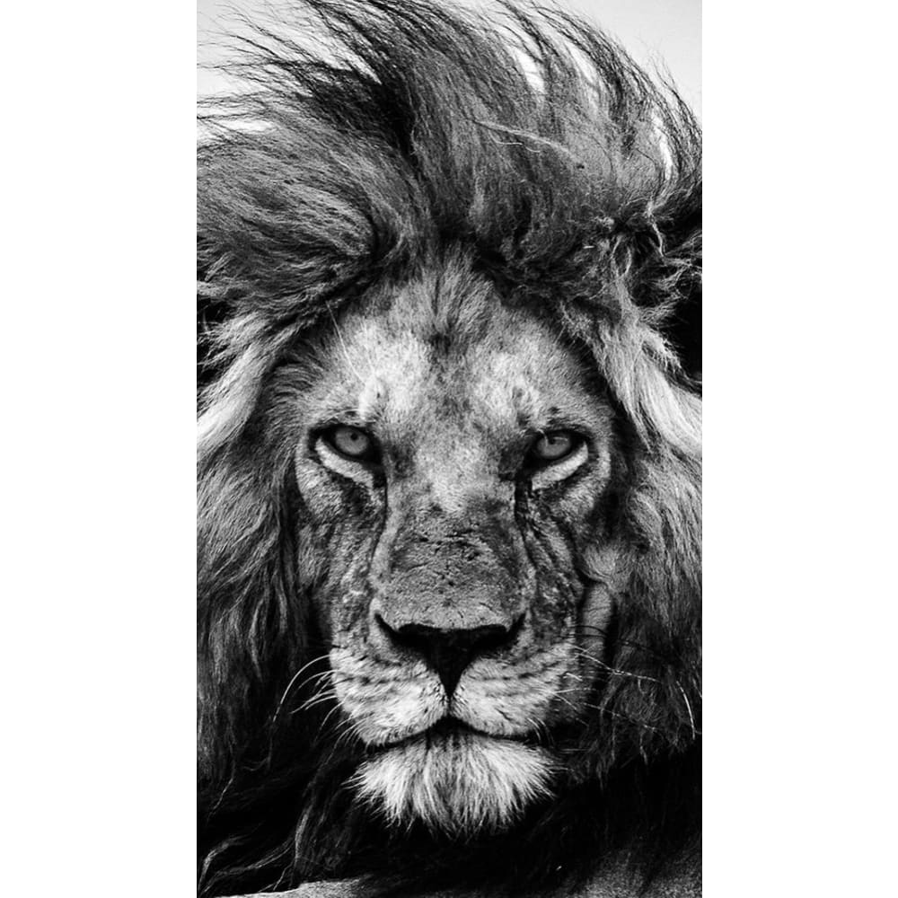 DIY Diamond Painting - Dieren PIX-2461 - Diamond Painting