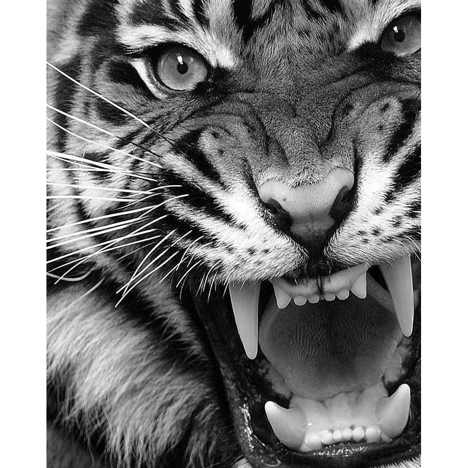 DIY Diamond Painting - Dieren PIX-2463 - Diamond Painting