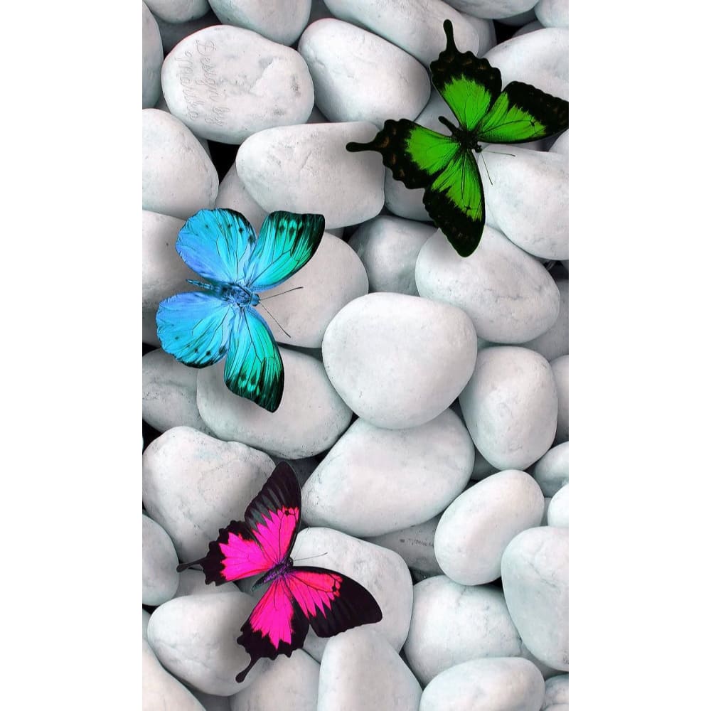 DIY Diamond Painting - Dieren PIX-2467 - Diamond Painting