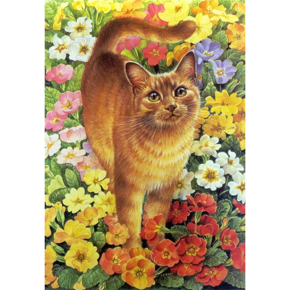 DIY Diamond Painting - Dieren PIX-2477 - Diamond Painting