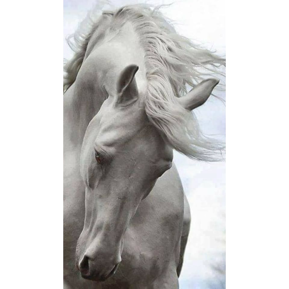 DIY Diamond Painting - Dieren PIX-2495 - Diamond Painting