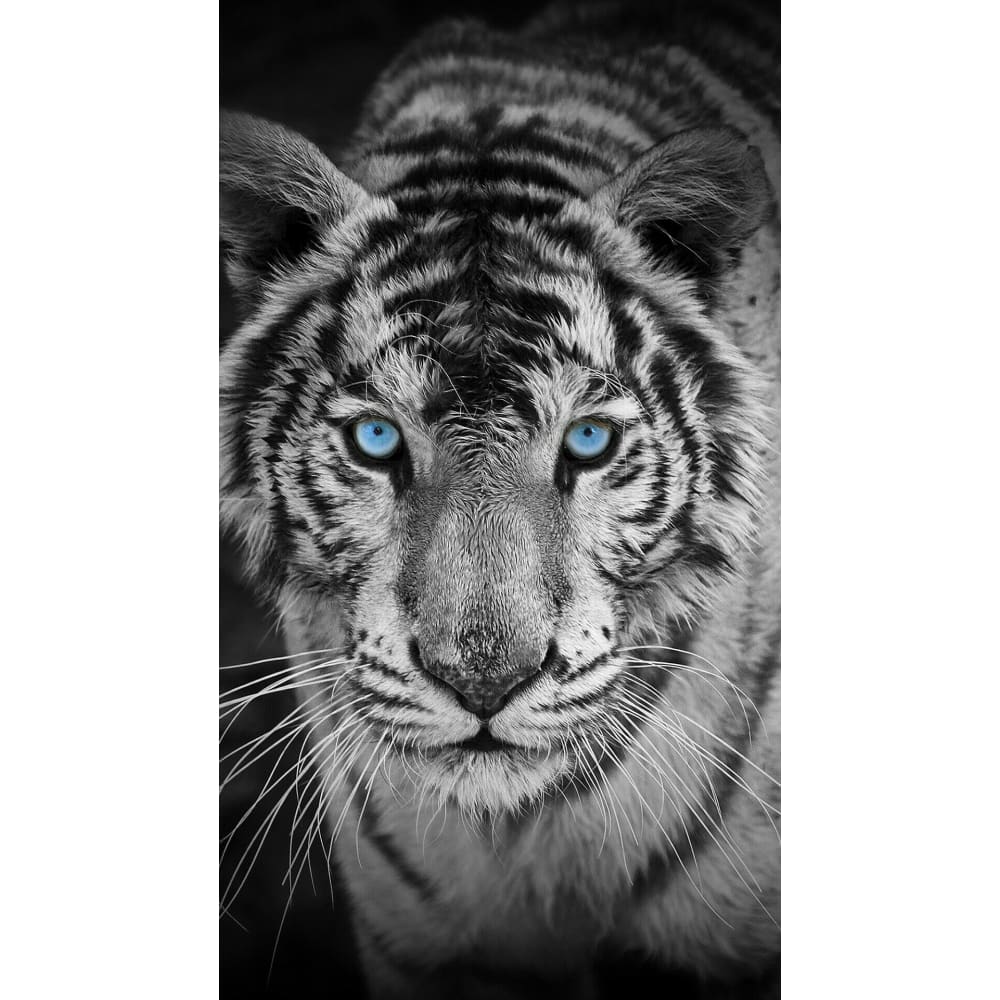 DIY Diamond Painting - Dieren PIX-2498 - Diamond Painting