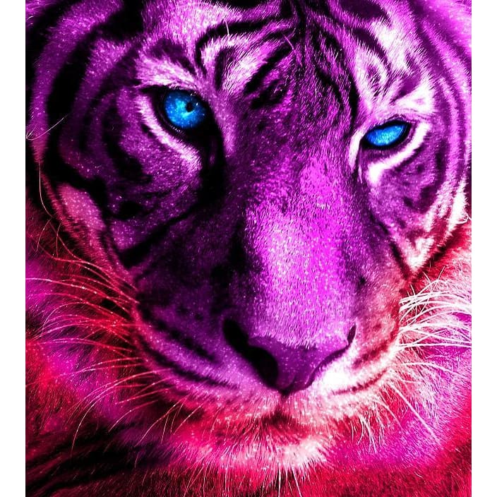 DIY Diamond Painting - Dieren PIX-2501 - Diamond Painting