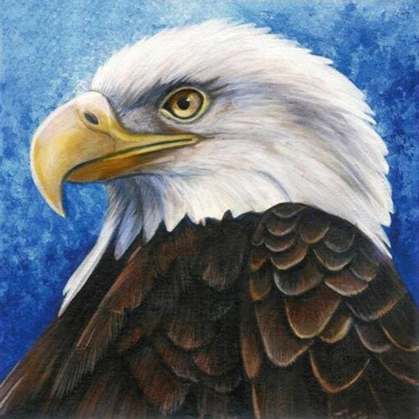 DIY Diamond Painting - Eagle Calm PIX-308 - Diamond Painting
