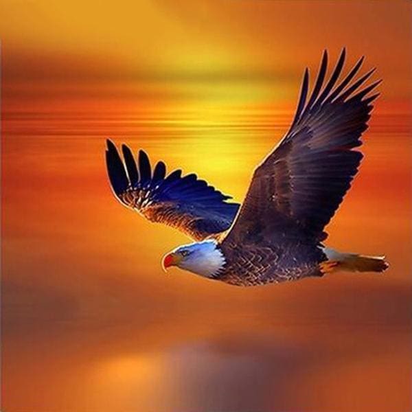 DIY Diamond Painting - Eagle Orange Sunset PIX-304 - Diamond