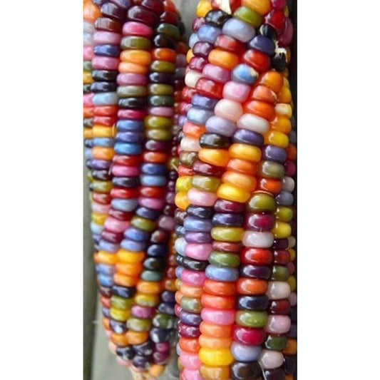 DIY Diamond Painting - Etnisch PIX-1468 - Diamond Painting