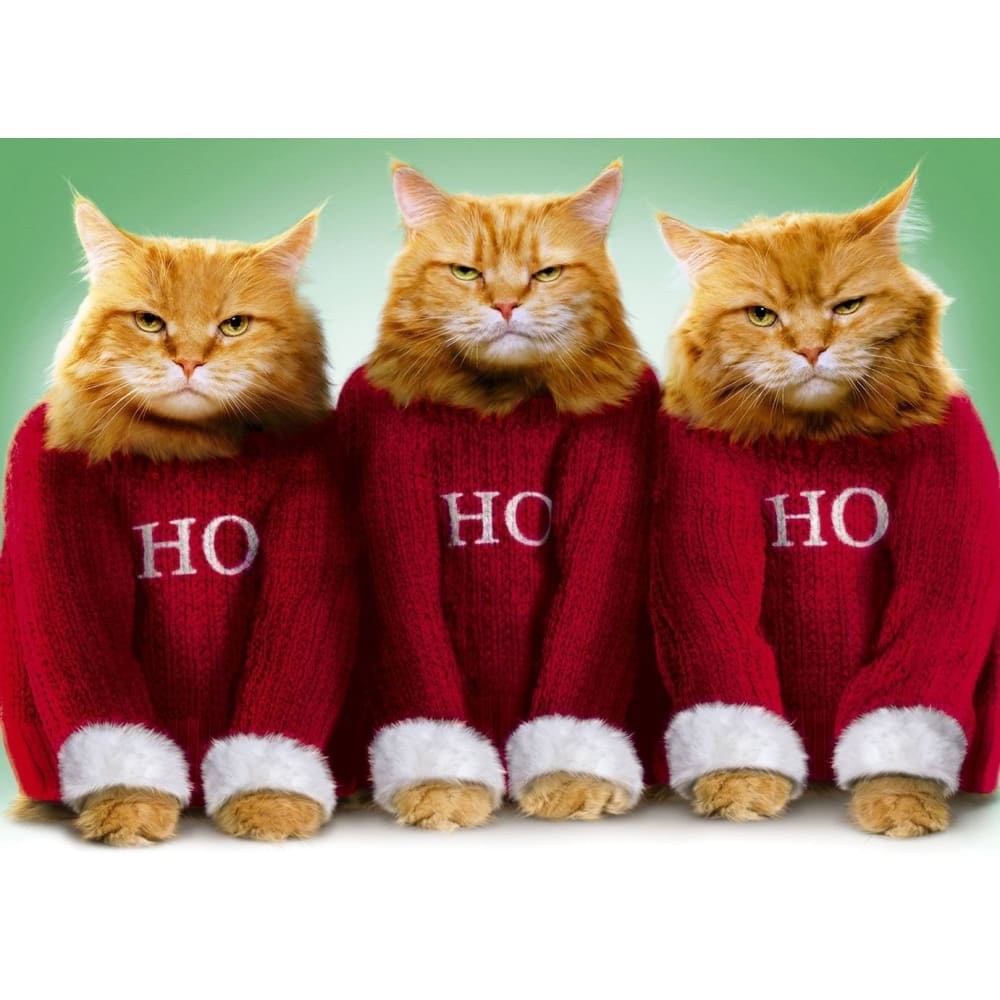 DIY Diamond Painting - Ho Ho Ho Cat Christmas PIX-471 - 
