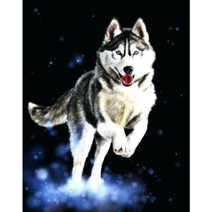 DIY Diamond Painting - Husky Cut PIX-613 - Diamond Painting