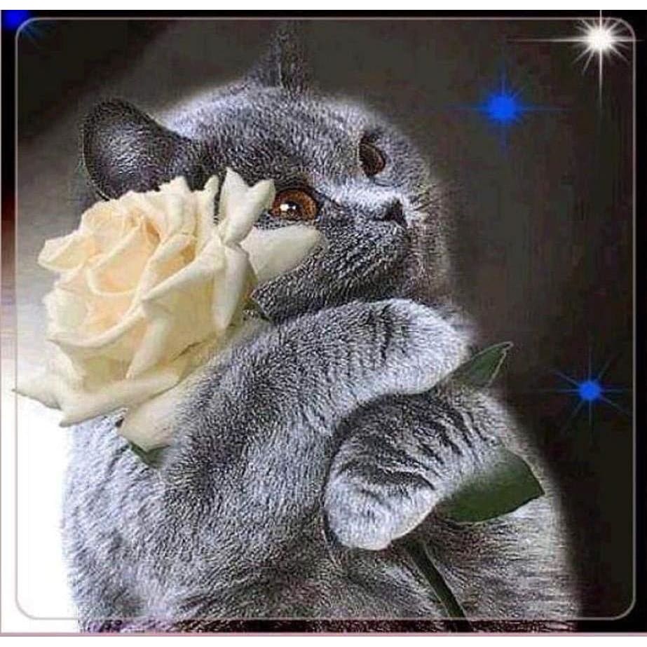 DIY Diamond Painting - Kat PIX-1337 - Diamond Painting