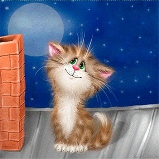 DIY Diamond Painting - Kat PIX-1339 - Diamond Painting