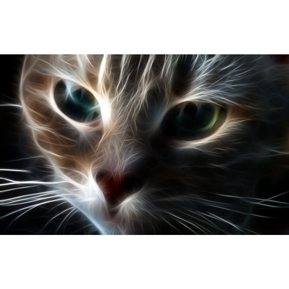 DIY Diamond Painting - Kat PIX-1349 - Diamond Painting