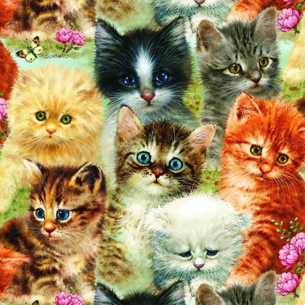 DIY Diamond Painting - Kat PIX-1355 - Diamond Painting