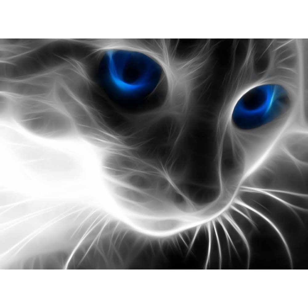 DIY Diamond Painting - Kat PIX-1376 - Diamond Painting