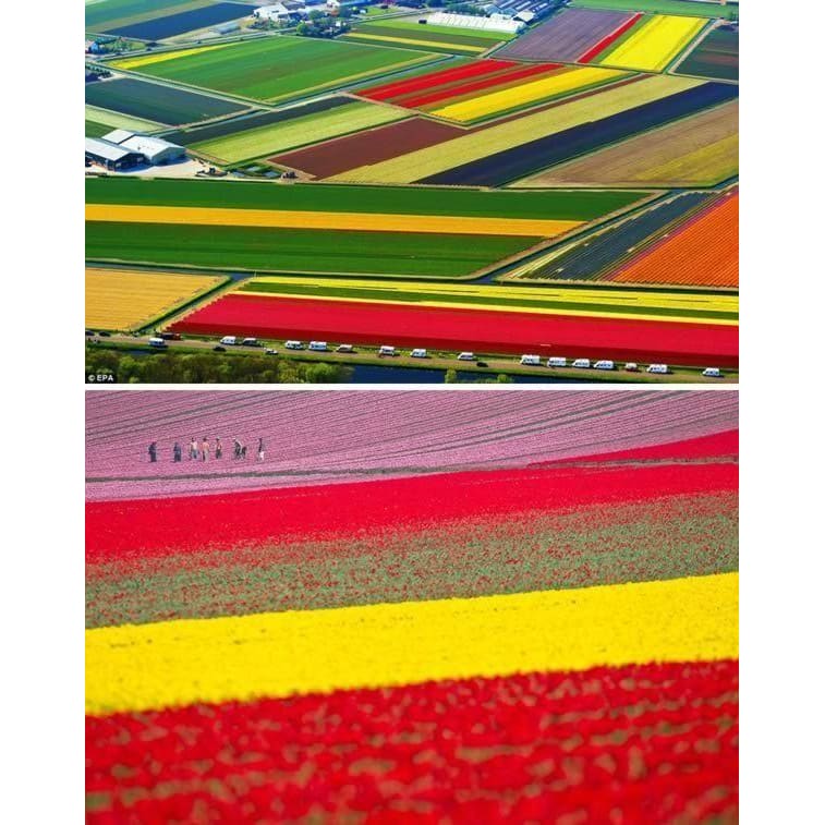 DIY Diamond Painting - Landschappen PIX-2147 - Diamond 