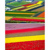 DIY Diamond Painting - Landschappen PIX-2147 - Diamond 