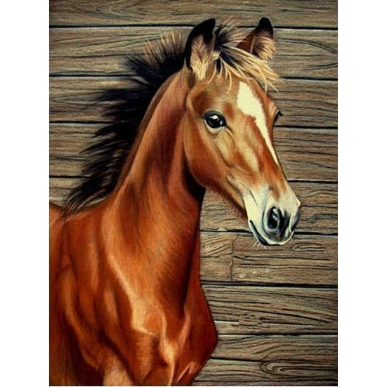 DIY Diamond Painting - Paard Little PIX-293 - Diamond 