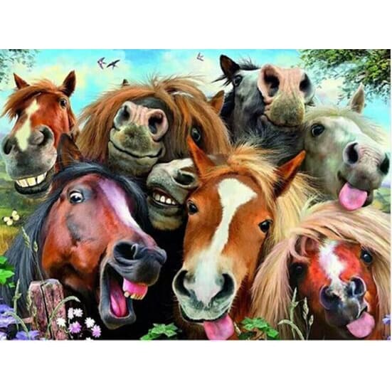 DIY Diamond Painting - Paarden grappig PIX-302 - Diamond 